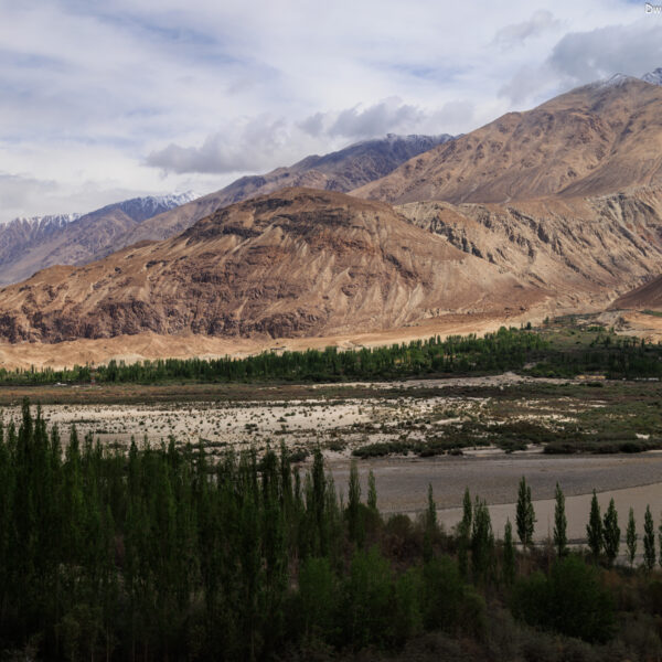 Nubra Valley - Ladakh